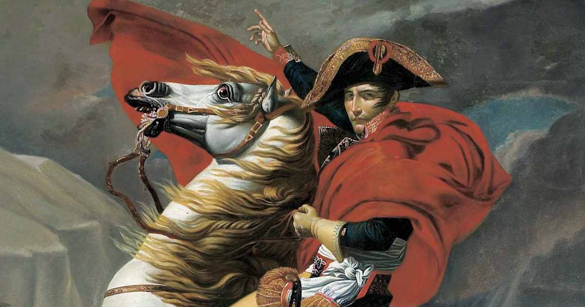 napoleon on st bernhard - Valkyrae Shop